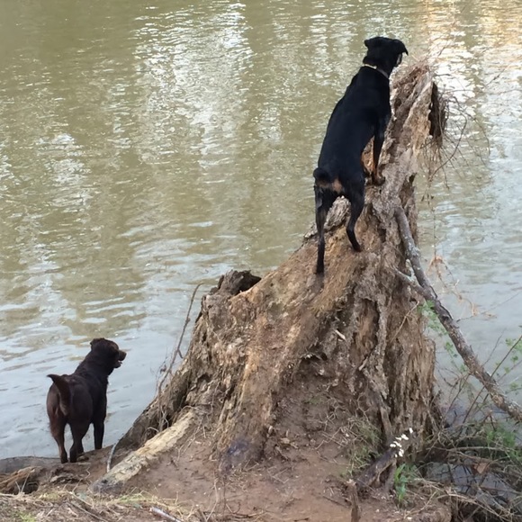 Meet your Posher, Marit - Picture 1 of 1